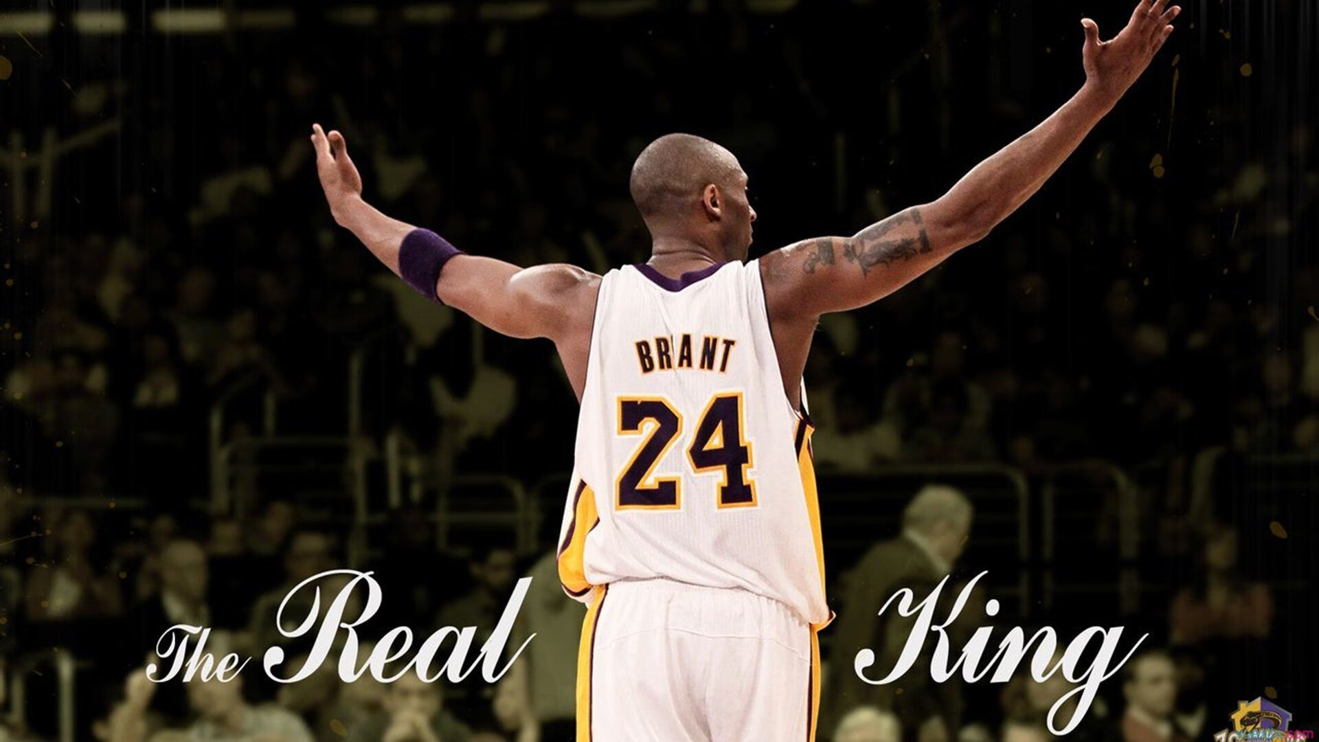 战术并行,深圳队的团队压制与塔图姆的个体转换艺术